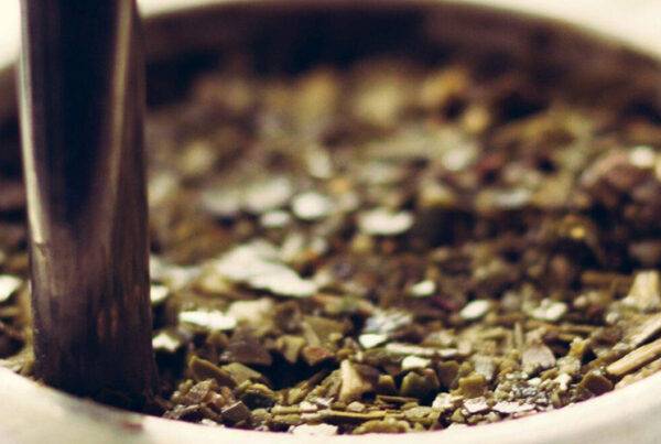 yerba mate tea for energy and wellbeing